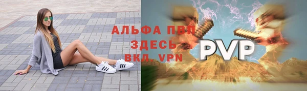эйфоретик Инта