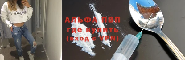 эйфоретик Инта