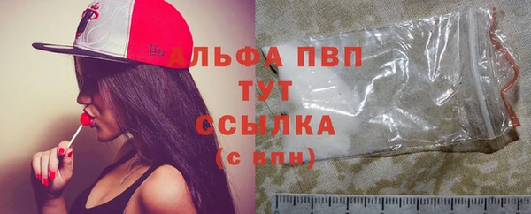эйфоретик Инта