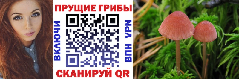 Купить закладки  Донской  Псилоцибиновые грибы мухоморы 