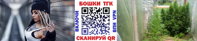 Купить где  Донской  Бошки марихуана OG Kush 